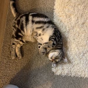 Meet your Posher, Jw